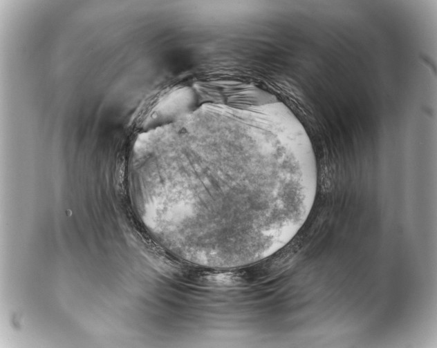 X0000102010365200808151257