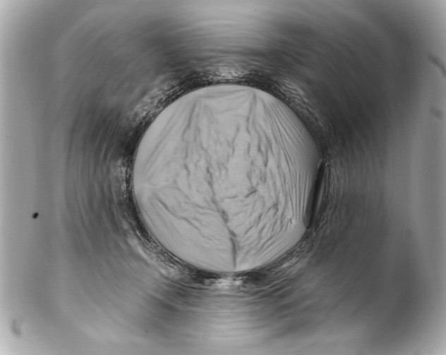 X0000102010366200808151257