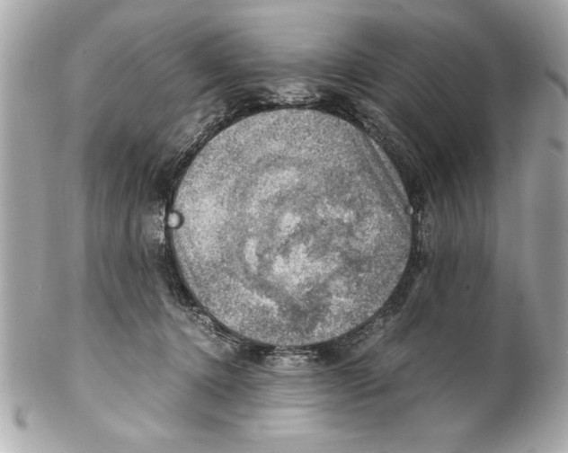 X0000102010368200808151257