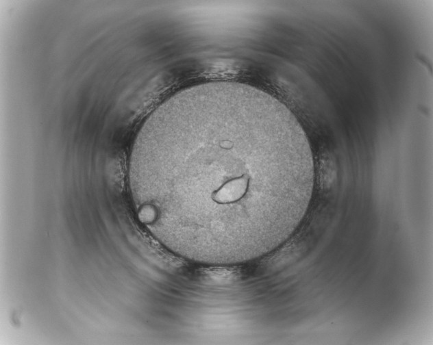 X0000102010370200808151257