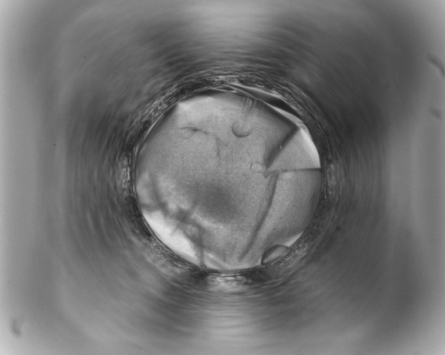 X0000102010372200808151257