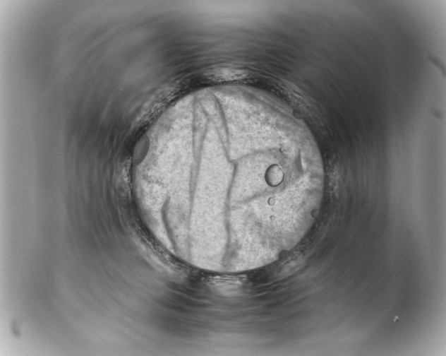 X0000102010373200808151257