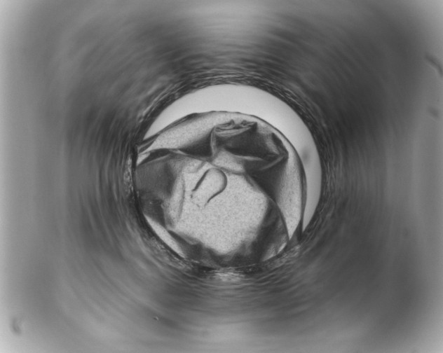 X0000102010376200808151257