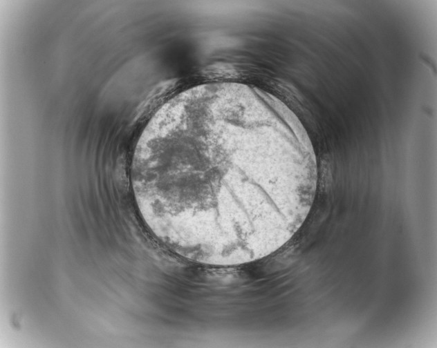 X0000102010377200808151257