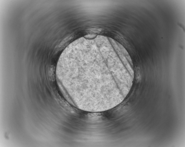 X0000102010378200808151257