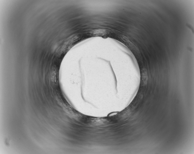 X0000102010379200808151257