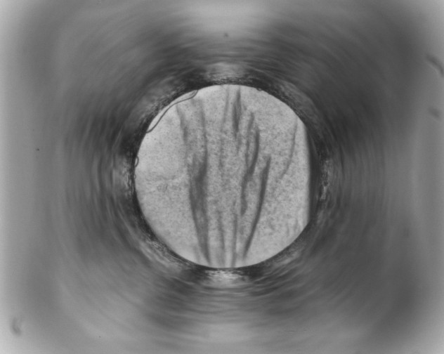 X0000102010380200808151257