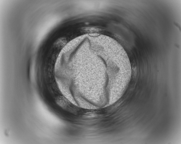 X0000102010381200808151257