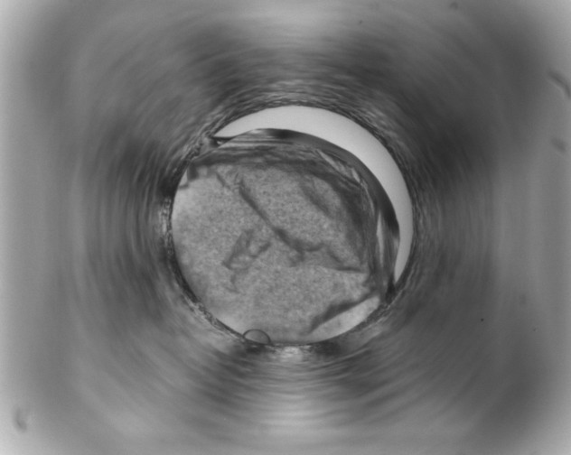 X0000102010382200808151257