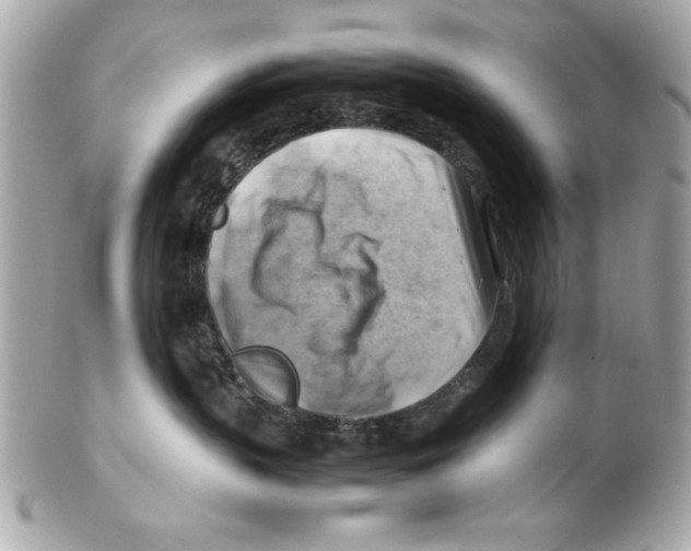 X0000102010383200808151258