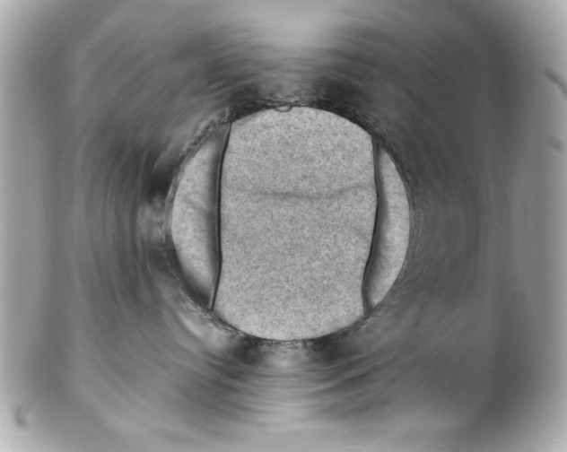 X0000102010384200808151258