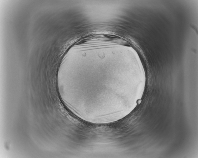 X0000102010385200808151257