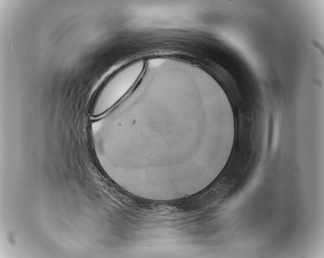 X0000102010387200808151257