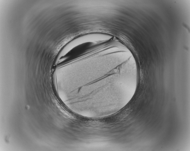 X0000102010389200808151257