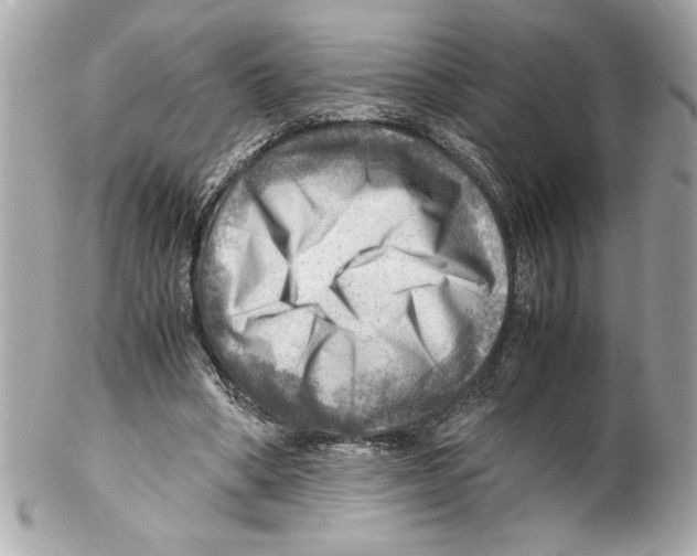 X0000102010394200808151257