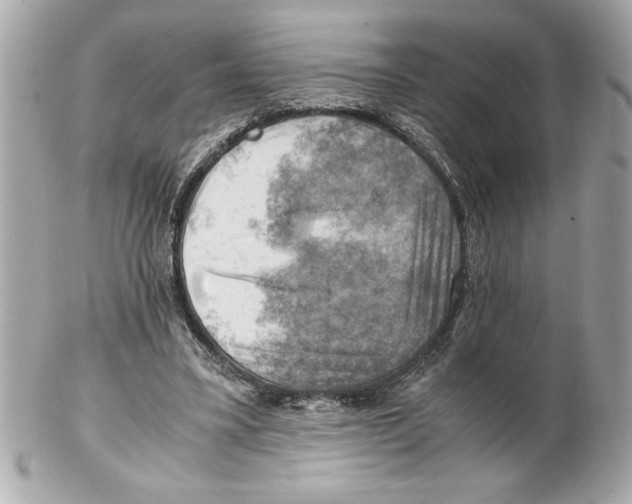 X0000102010395200808151257