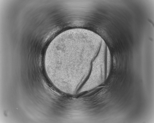 X0000102010396200808151257