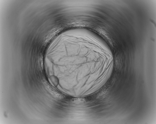 X0000102010398200808151257