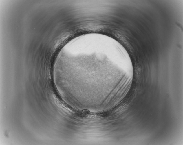 X0000102010399200808151256