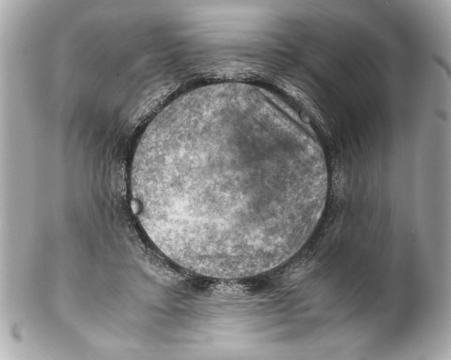 X0000102010403200808151256