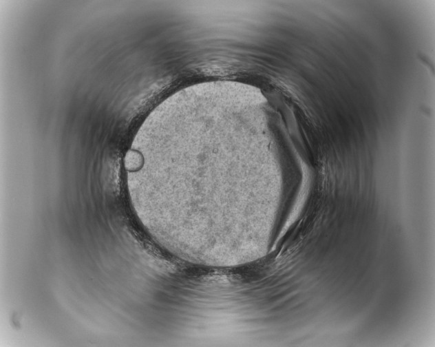 X0000102010404200808151256