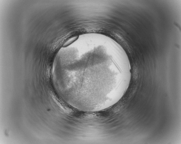 X0000102010405200808151256