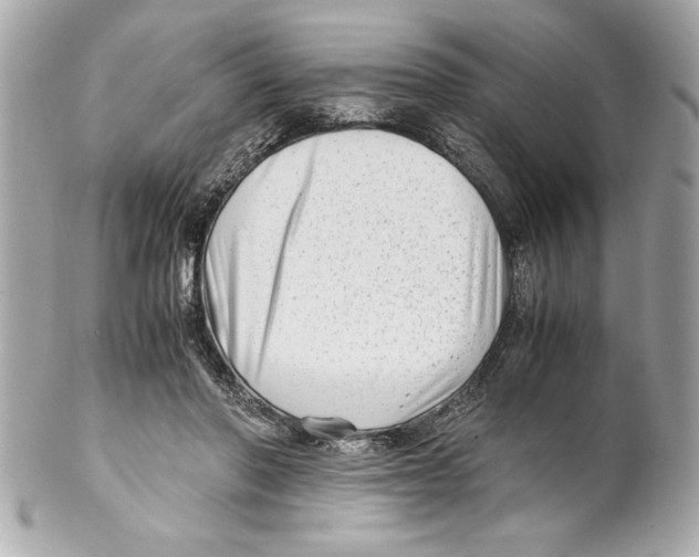 X0000102010406200808151256