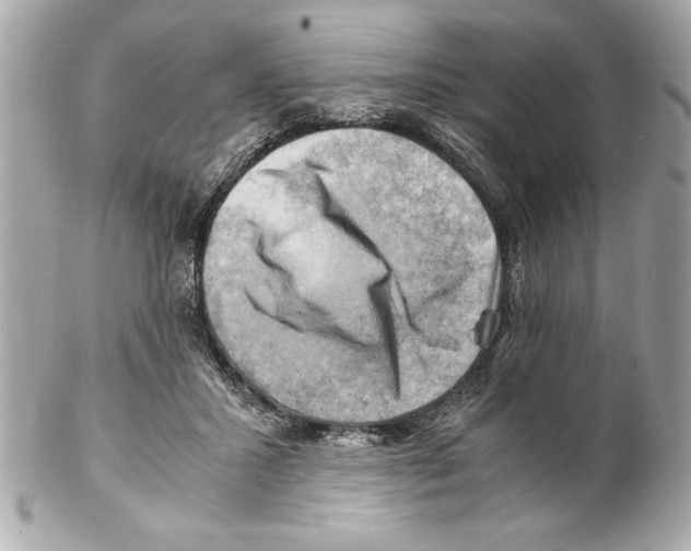 X0000102010407200808151256