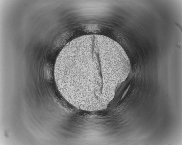 X0000102010408200808151256