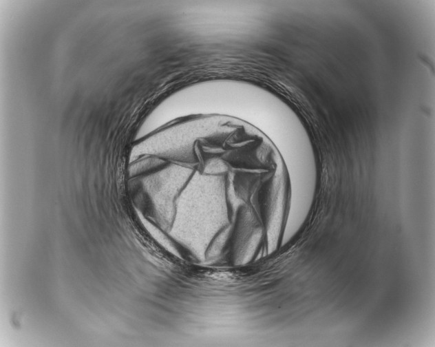 X0000102010409200808151256