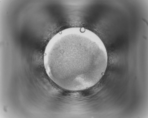 X0000102010411200808151256