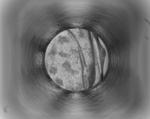 X0000102010412200808151256