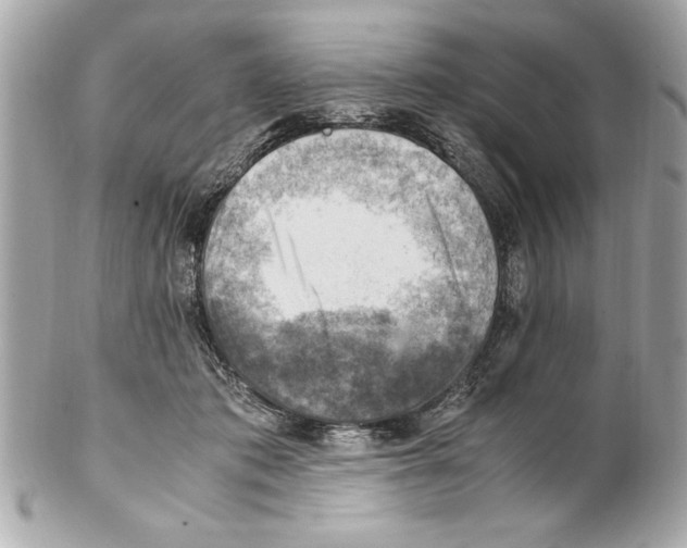 X0000102010413200808151256