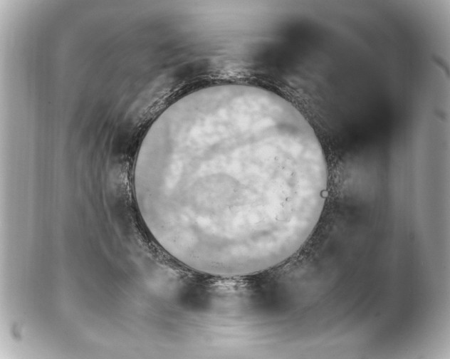 X0000102010415200808151256