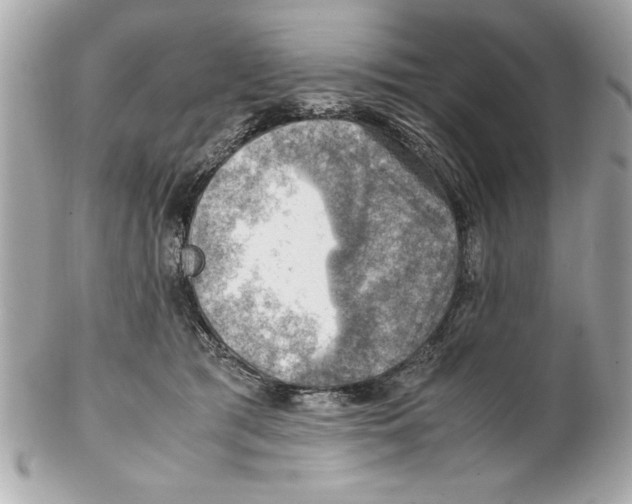 X0000102010417200808151256