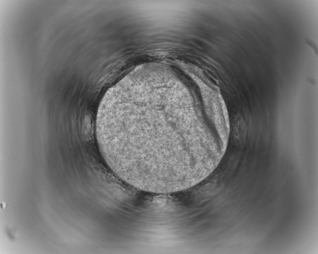 X0000102010420200808151256