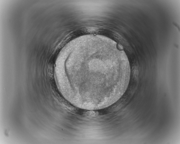 X0000102010421200808151256