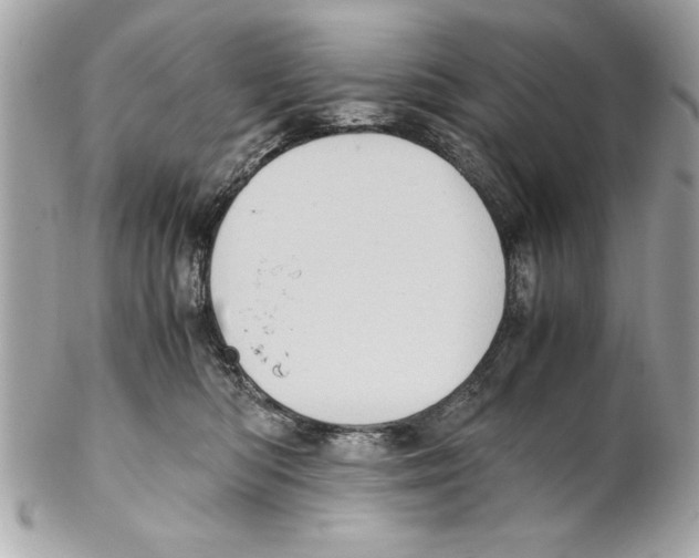 X0000102010422200808151256