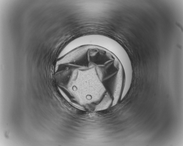 X0000102010423200808151256