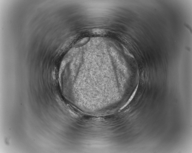 X0000102010424200808151256