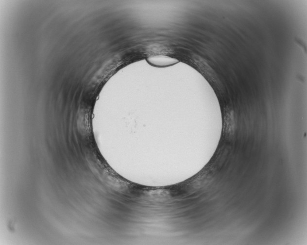 X0000102010426200808151256