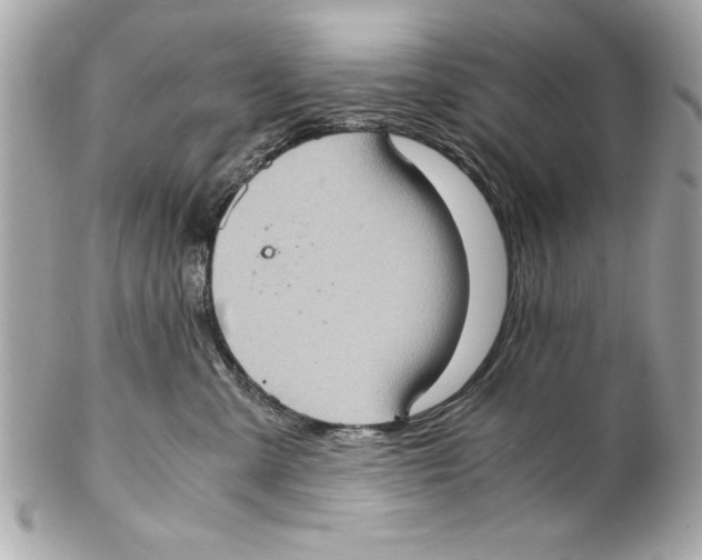 X0000102010427200808151256