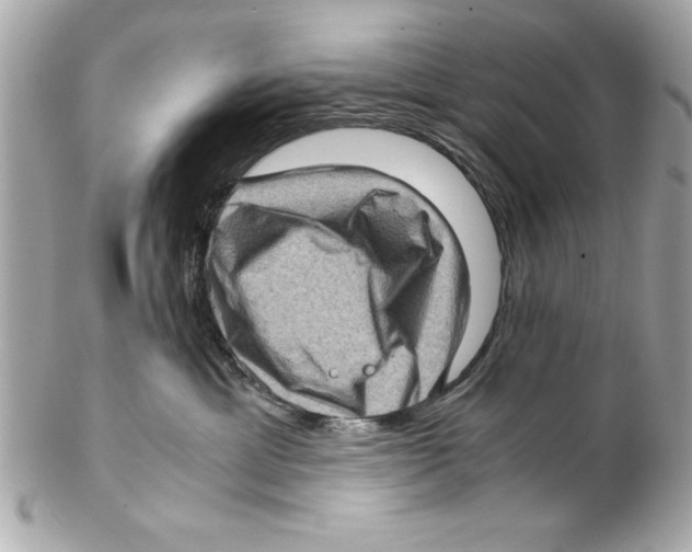 X0000102010429200808151256