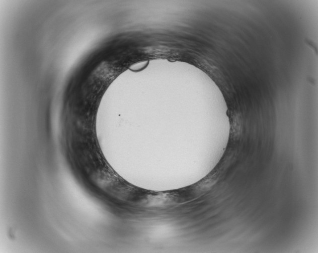 X0000102010430200808151256