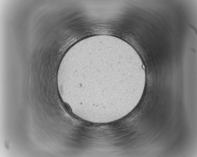 X0000102010433200808151255