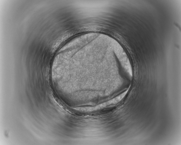 X0000102010434200808151255