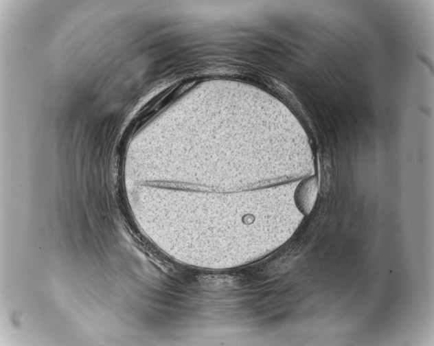 X0000102010435200808151255