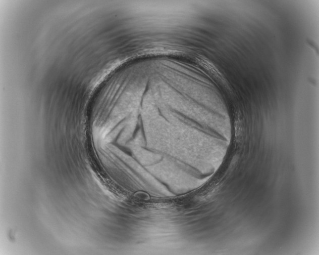 X0000102010436200808151255