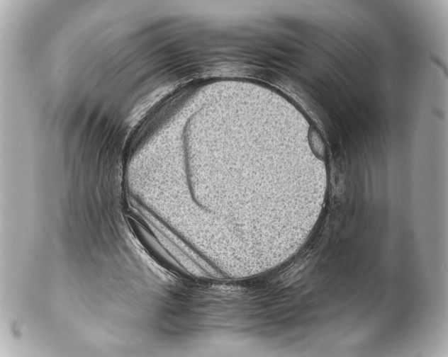 X0000102010437200808151255