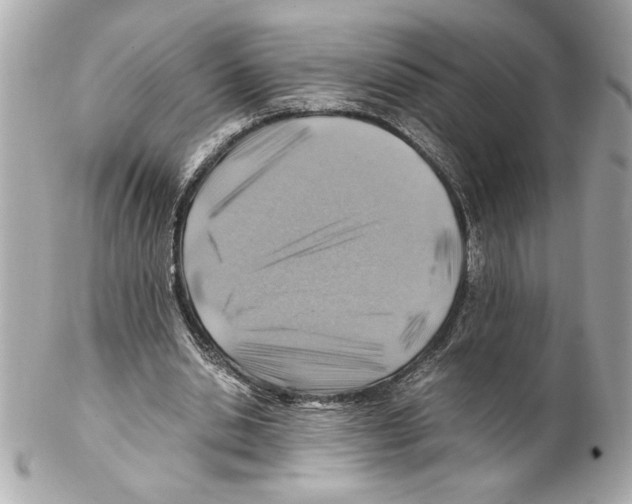 X0000102010438200808151255